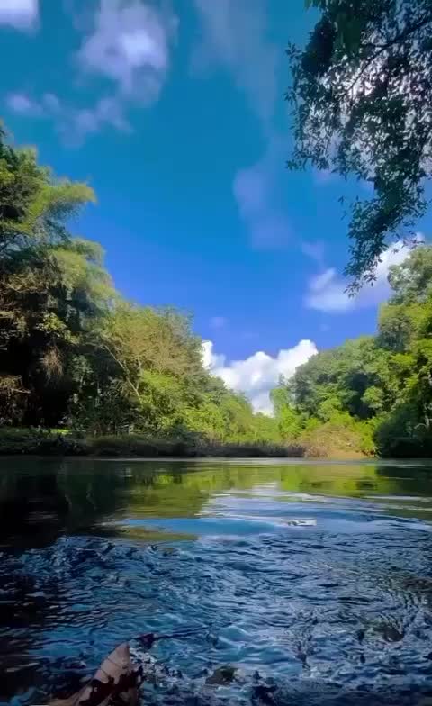 @shihabpt.pt