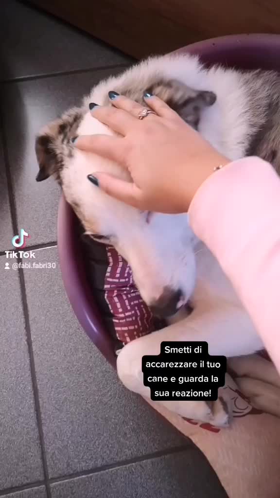 @fabri.930