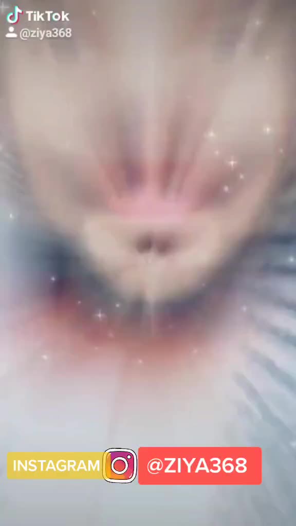 @ziya368