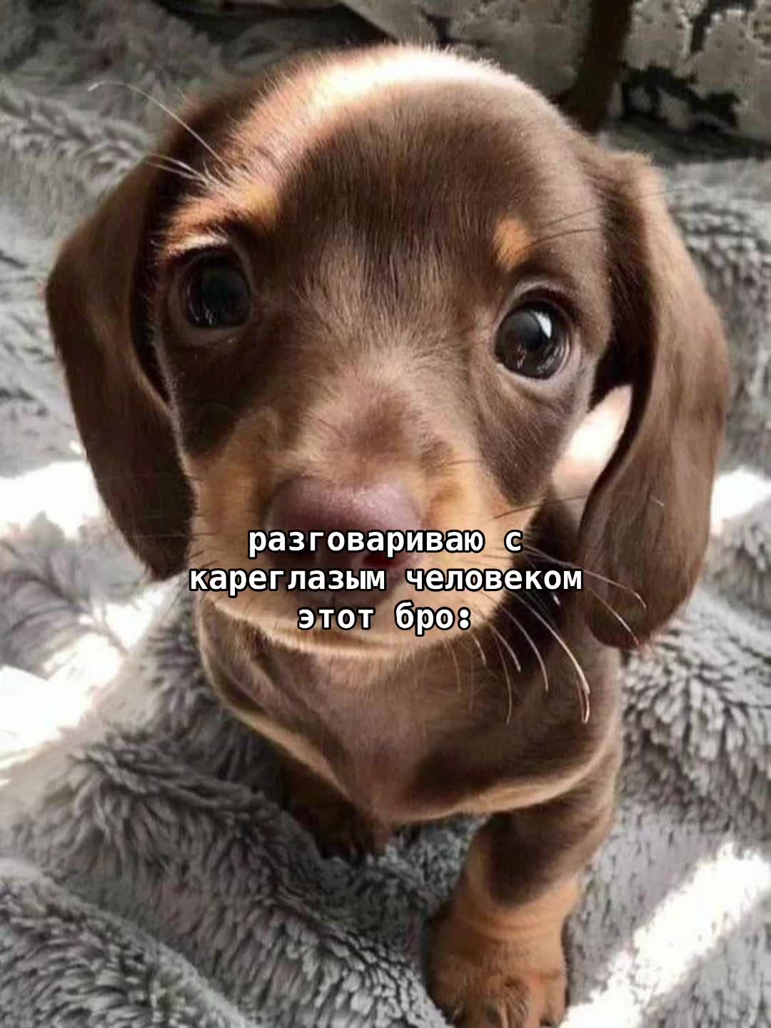 @Ꮤ𐌉𐌐𐌔