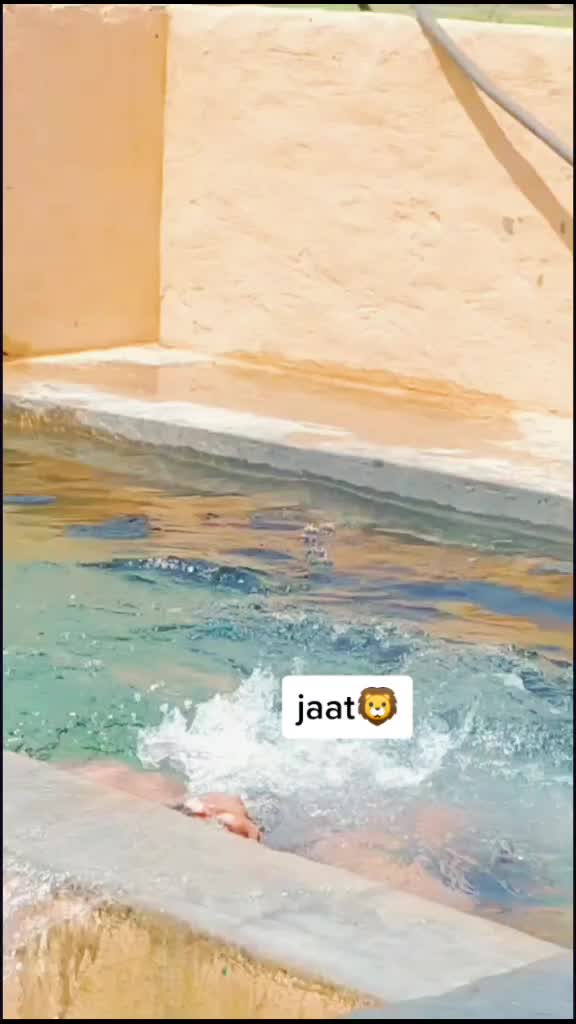 @Deepu Jakhar
