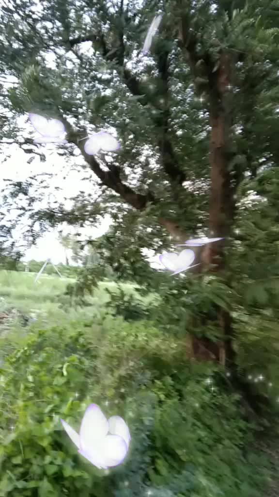 @user619498