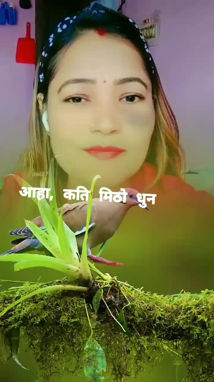 @Laxmi