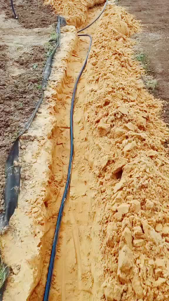 @МЫ ПЕТРОВЫ
