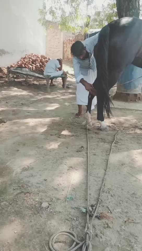 @Mohd Amaan