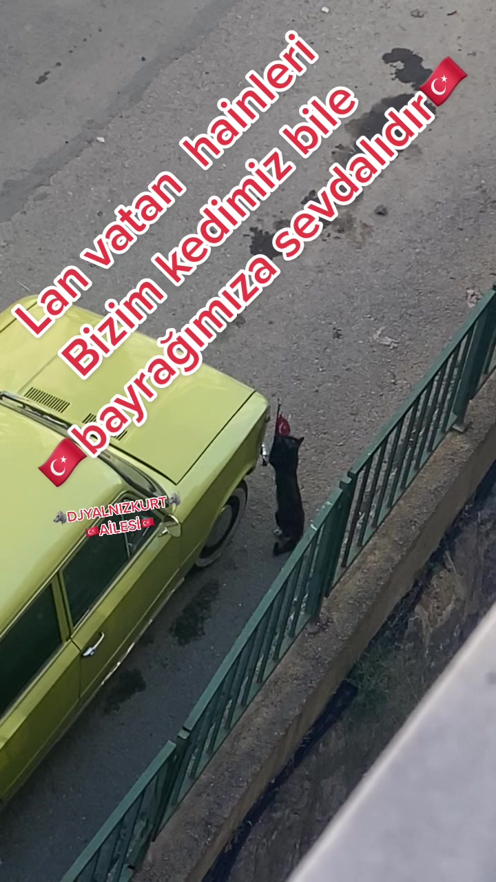 @𝓓𝓙𝓨𝓐𝓛𝓝𝓘𝓩𝓚𝓤𝓡𝓣
