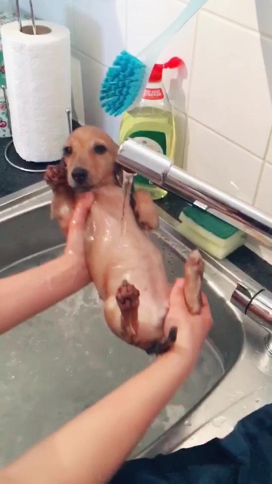 @Zarathesausage