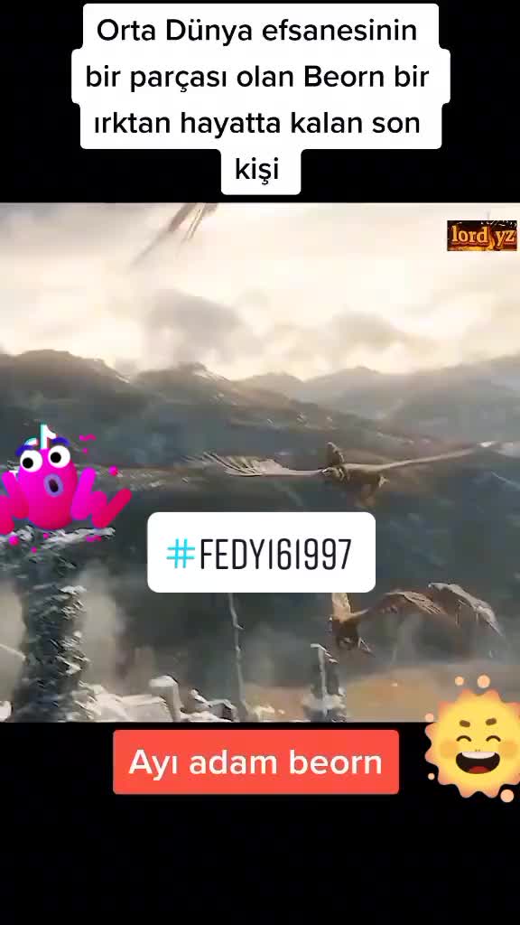 @fedy161997