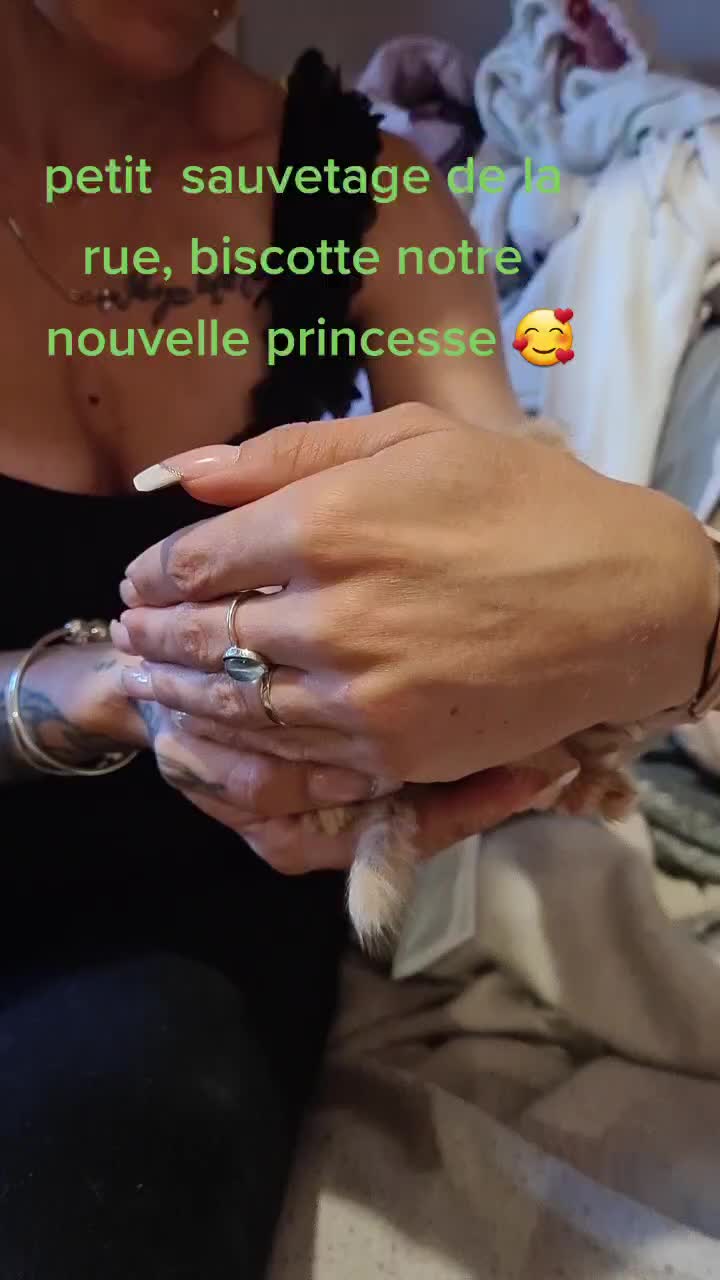 @lolotte-and-co