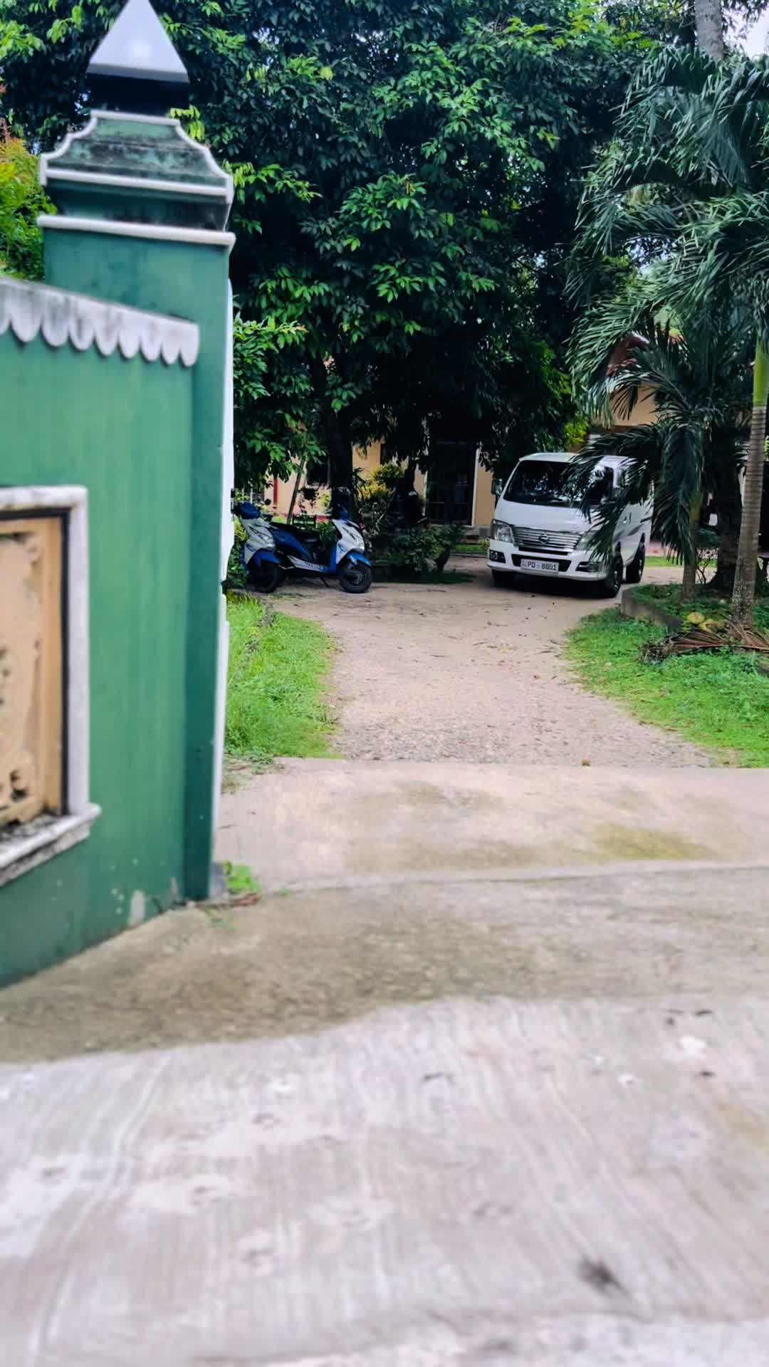 @🌻𝙉𝙞𝙨𝙝𝙠𝘼💚