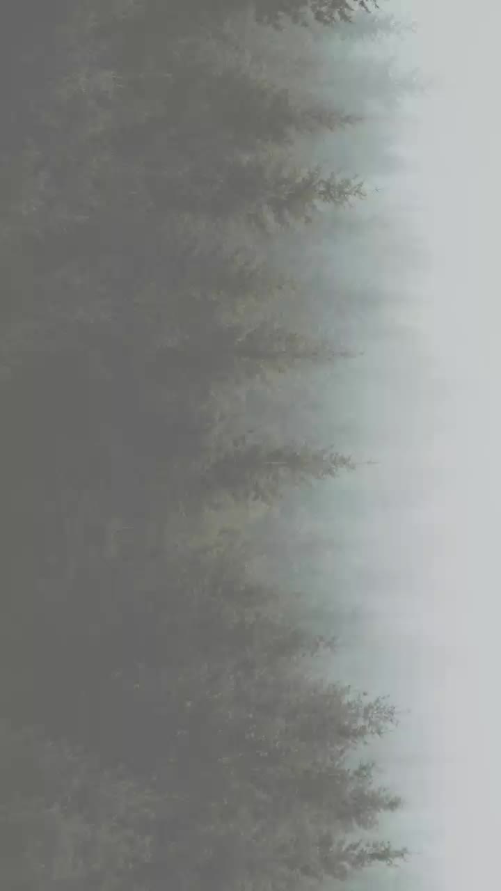 @Ŕ&agrave;hūľ K&uuml;m&aacute;ř