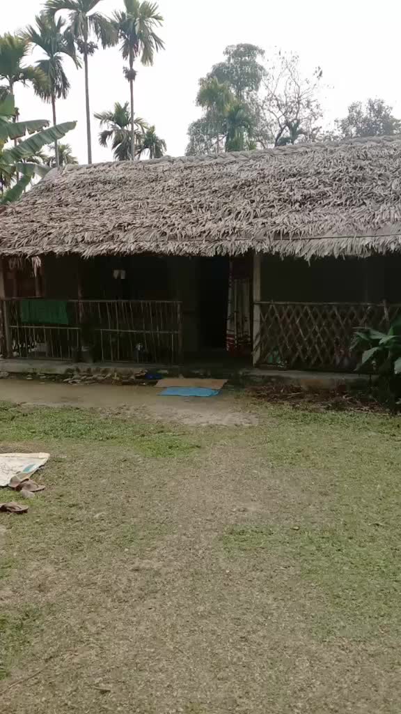 @Runjun