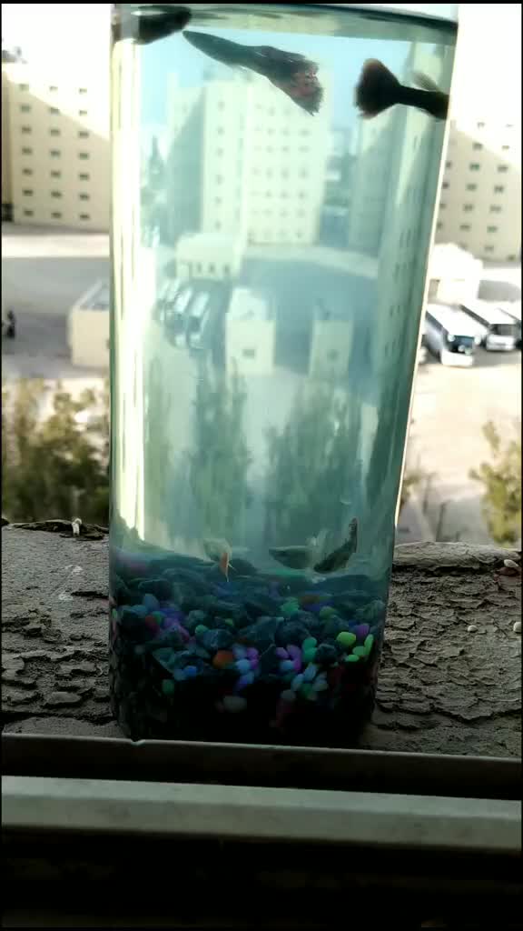 @user628471440933