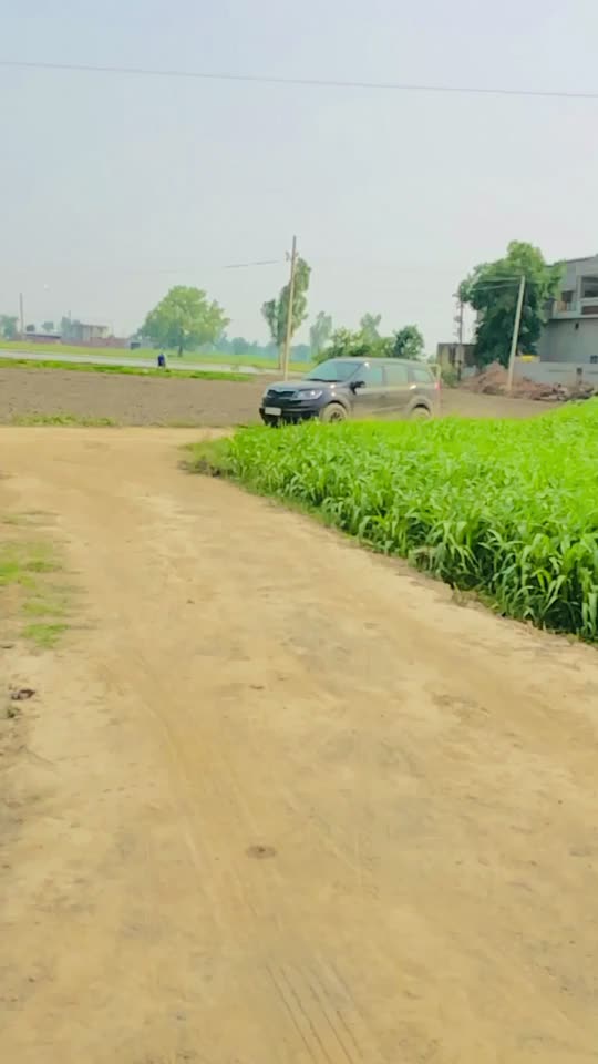 @gurlal_sabazpuria