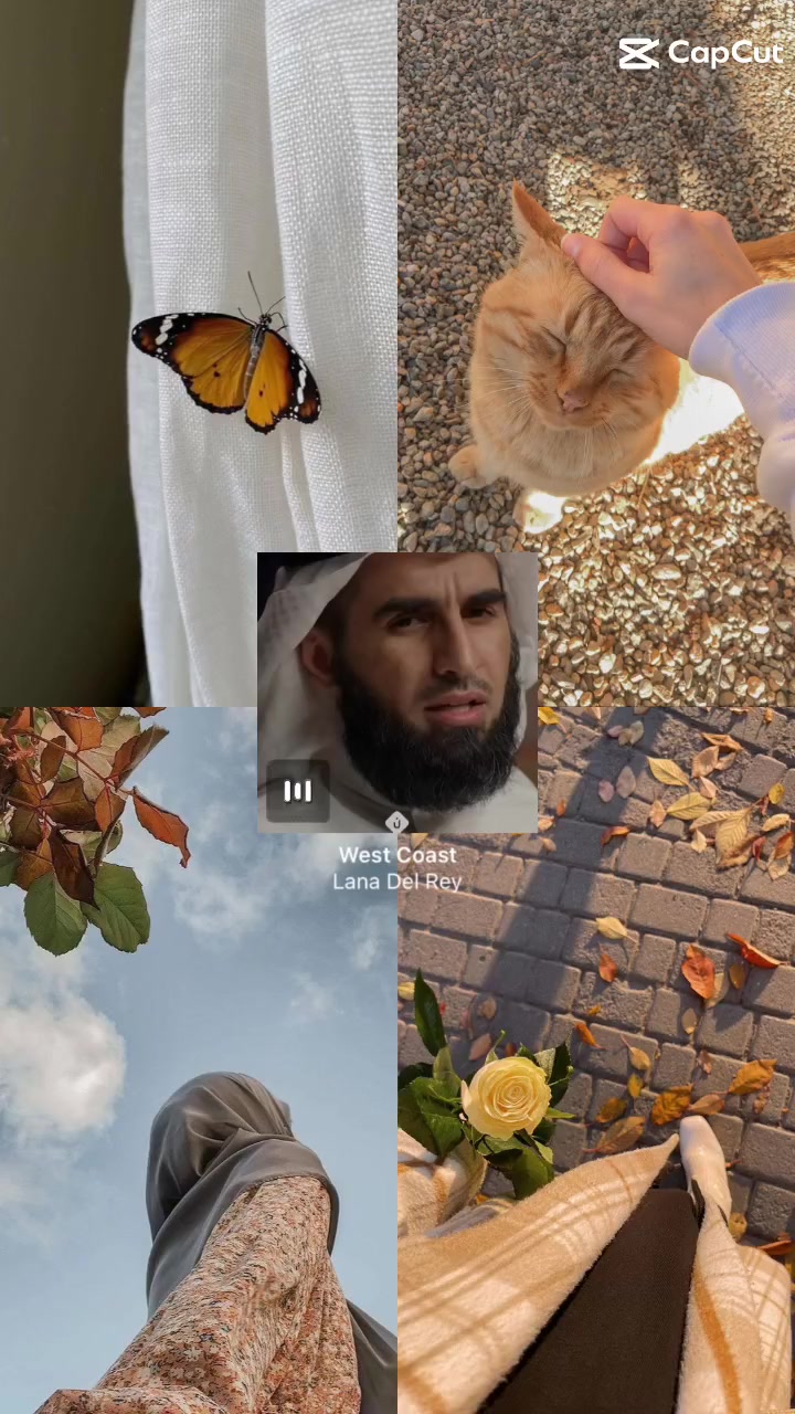 @Dijla🦋