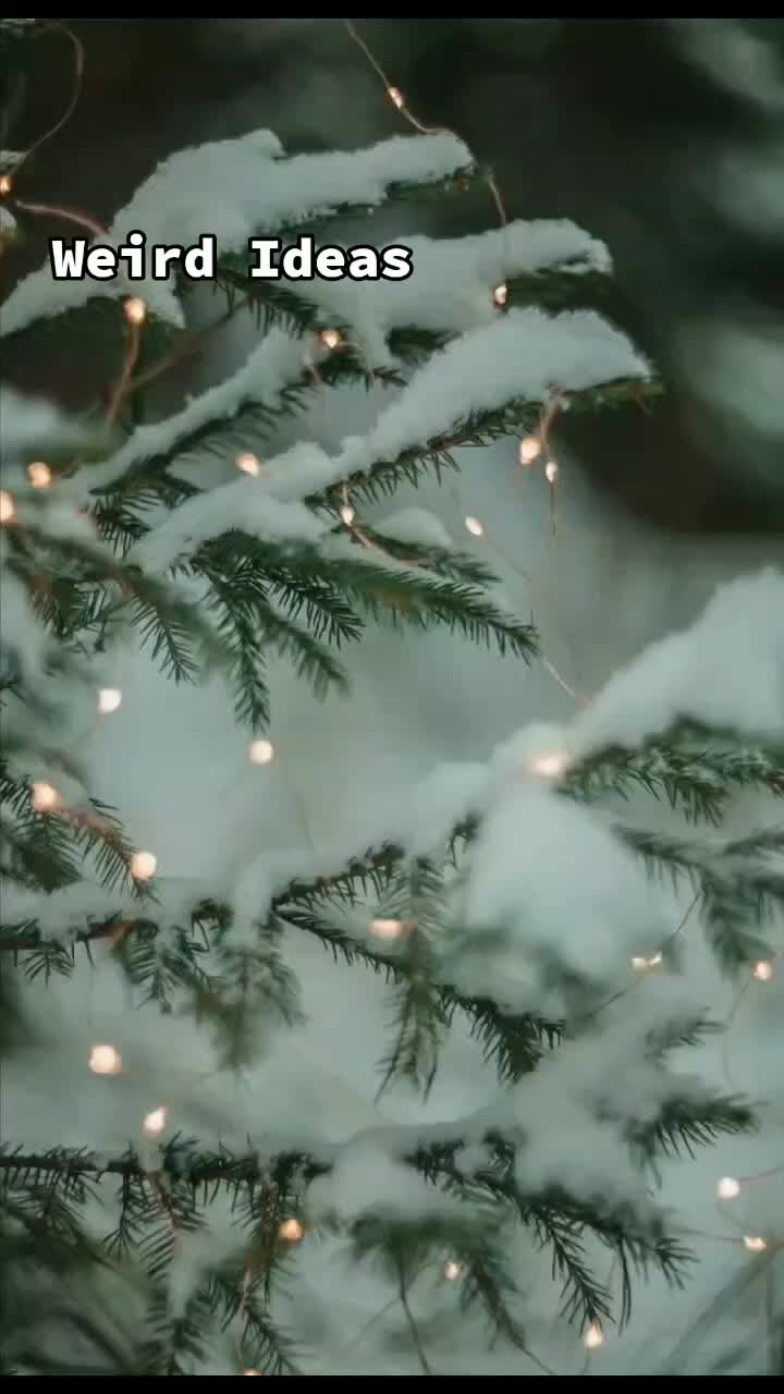 @SnowInJulyWriter💕