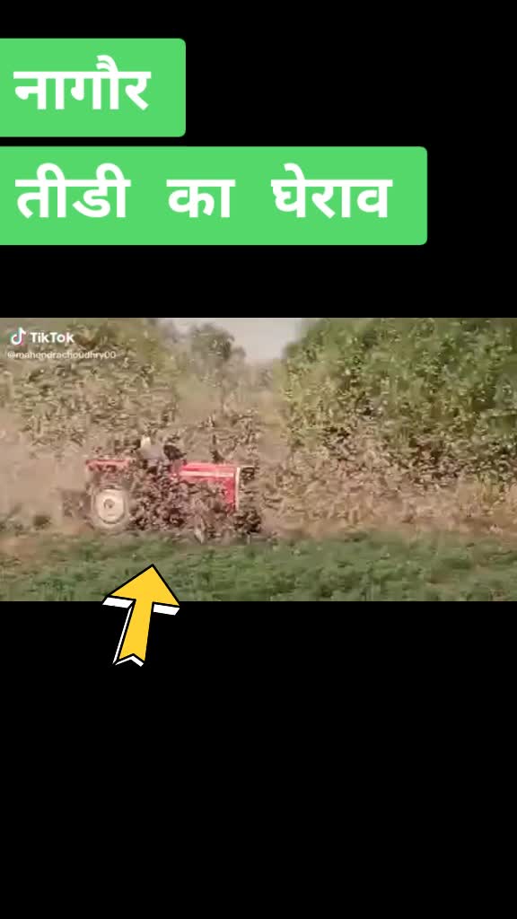 @टीम मेघवंशी नागौर