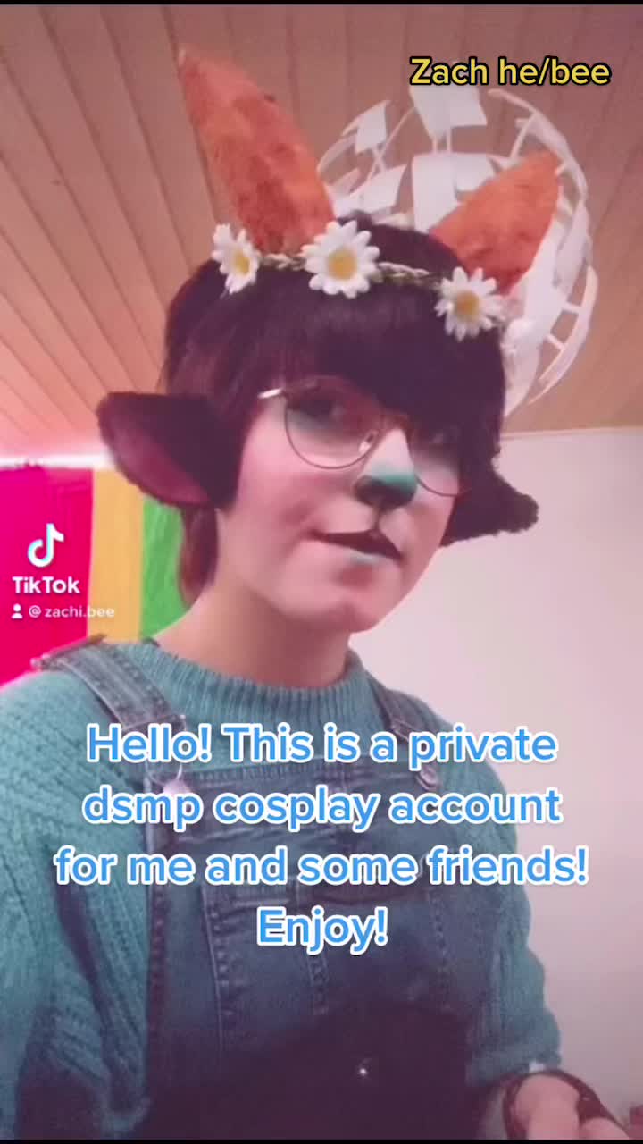 @dsmp.but_cool.friends