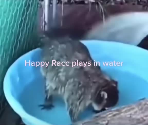 @czyxd