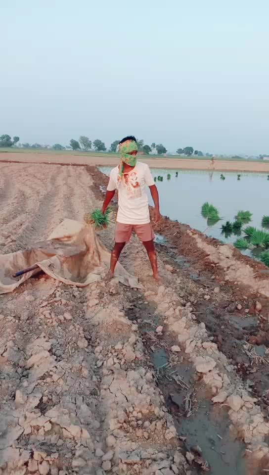 @bunty 8459627359
