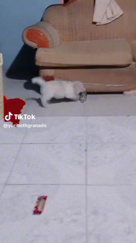 @𝒟𝒶𝓎𝒶𝓃𝒶 𝒢𝓇𝒶𝓃𝒶𝒹ℴ🤍