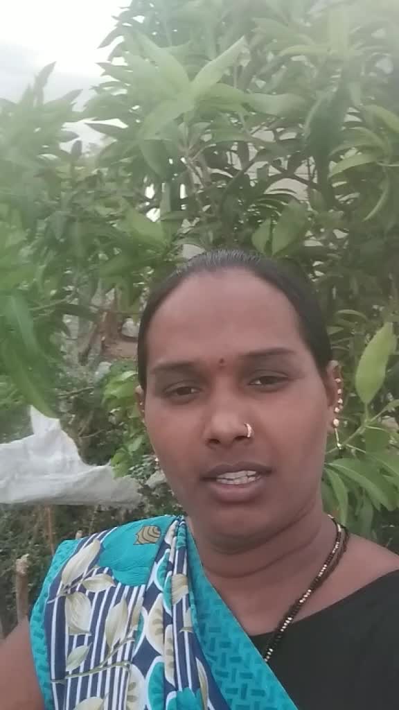 @vanaja
