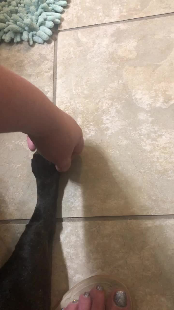 @NannyT