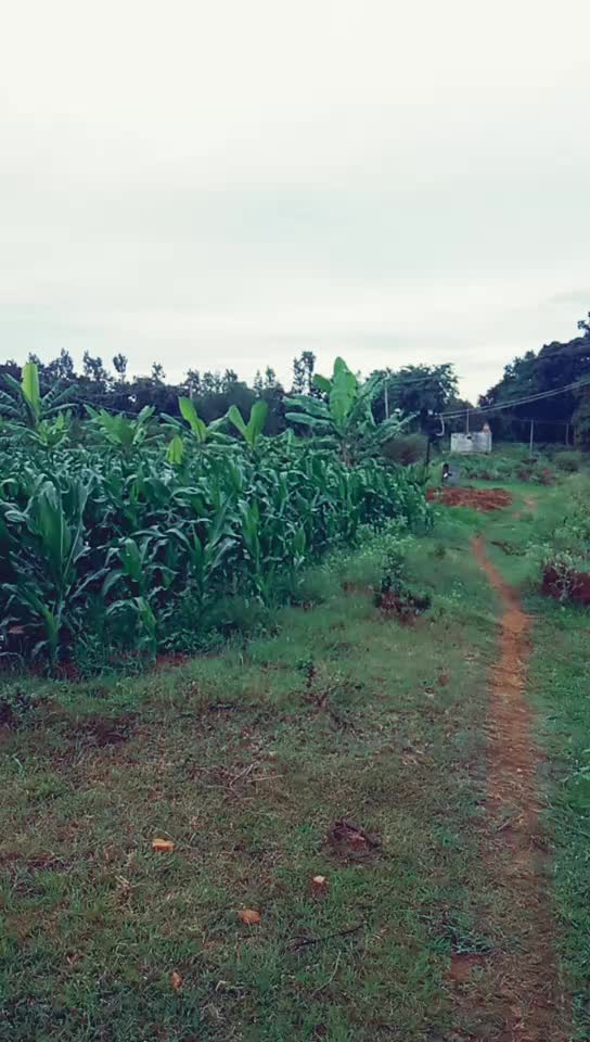 @Santhosh