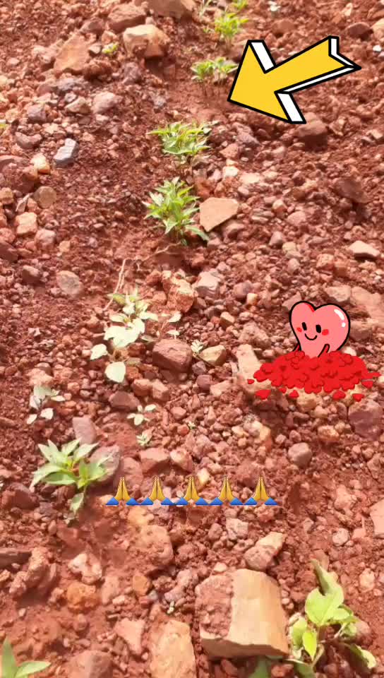 @user53001516660