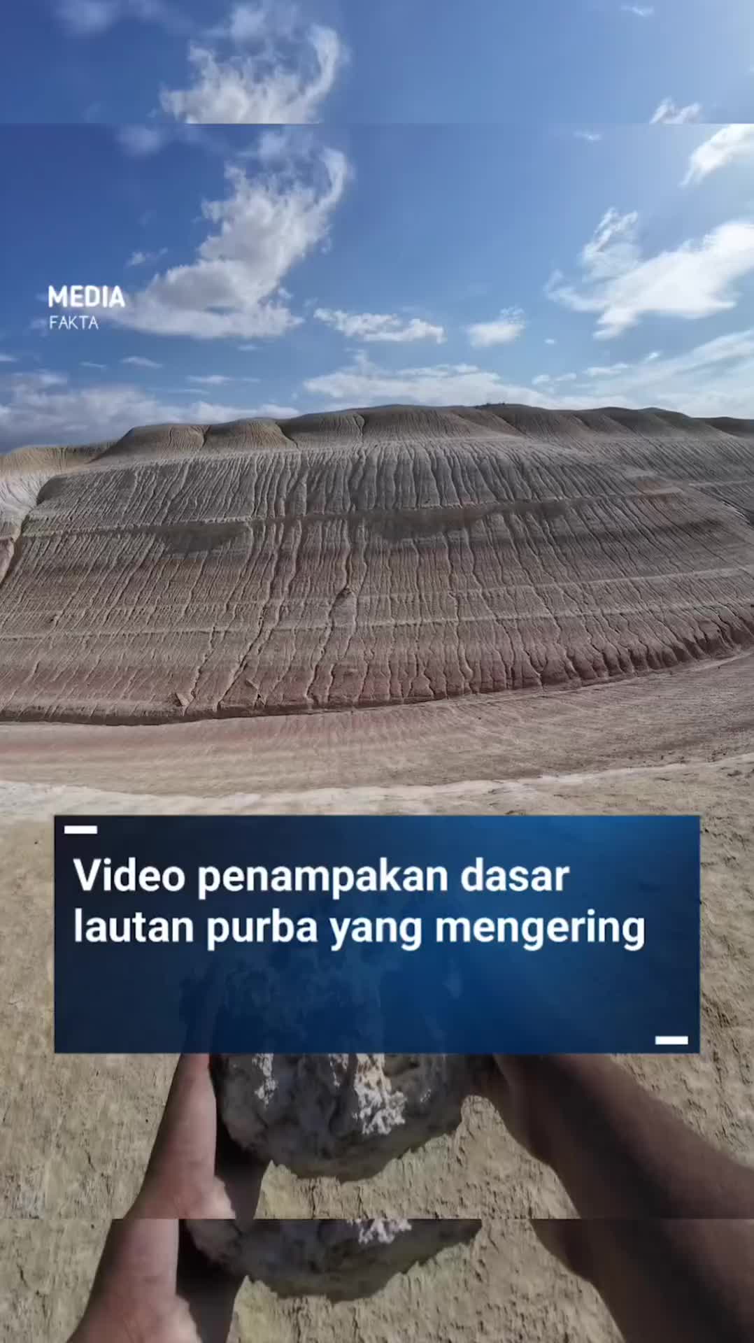 @Octaviani
