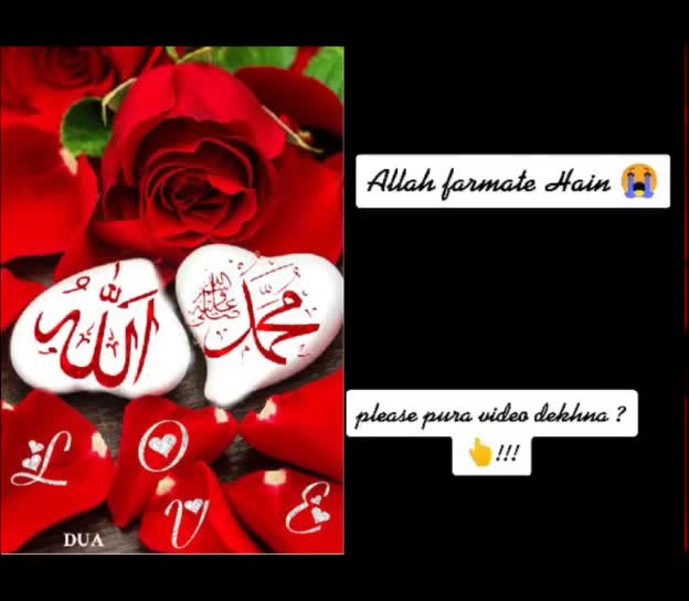 @md wajid7860