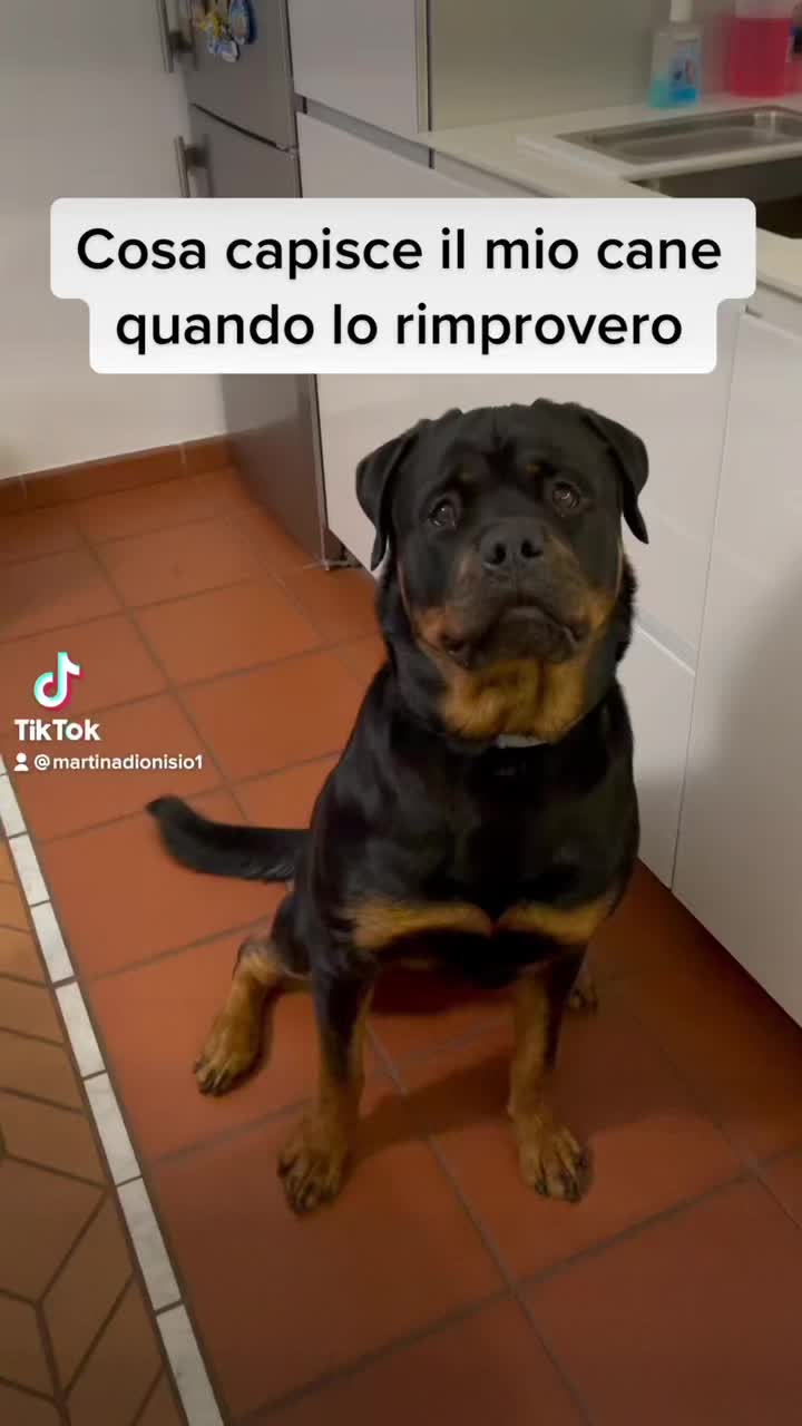 @Martina Dionisio