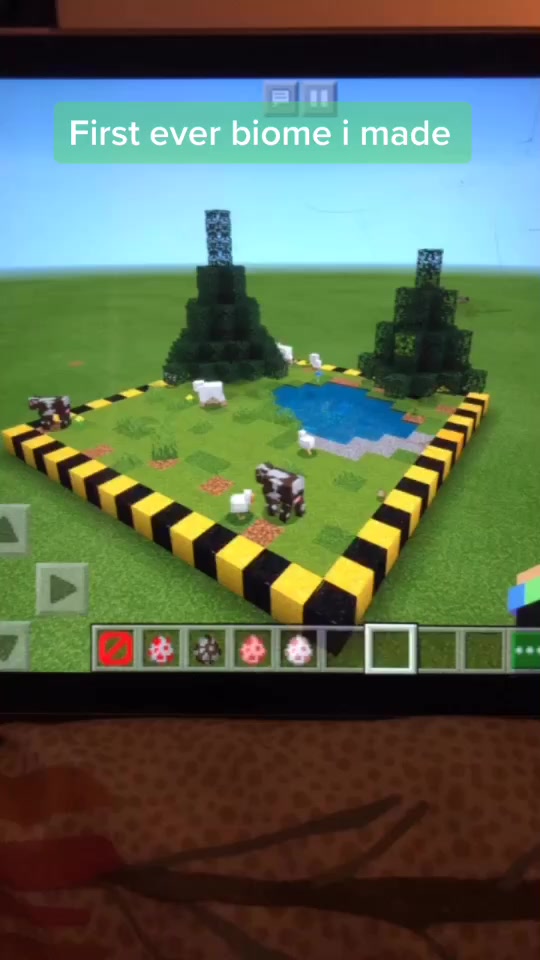 @Minecraft Biomes