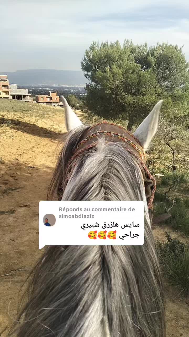 @حميد محمودي.