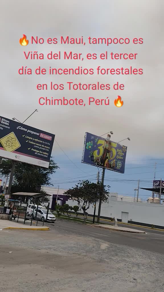 @Albert Louis