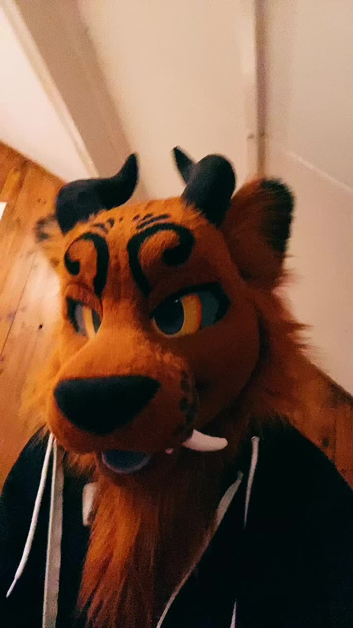 @Shangfudog