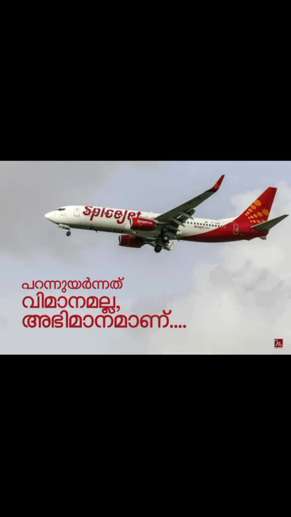 @Shameem Thachampoyil