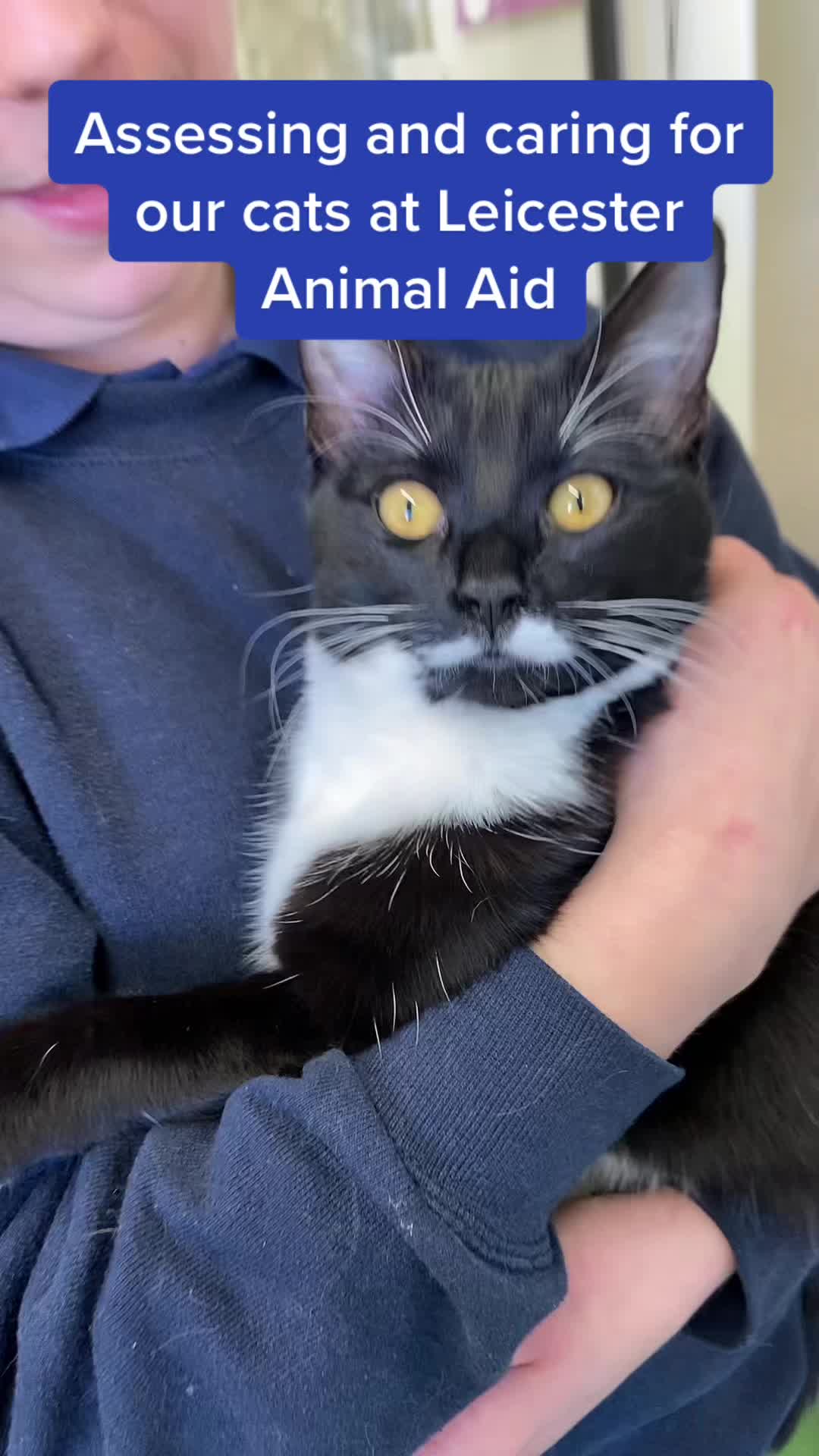 @LeicesterAnimalAid