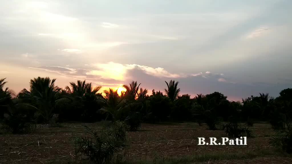 @Basu R Patil