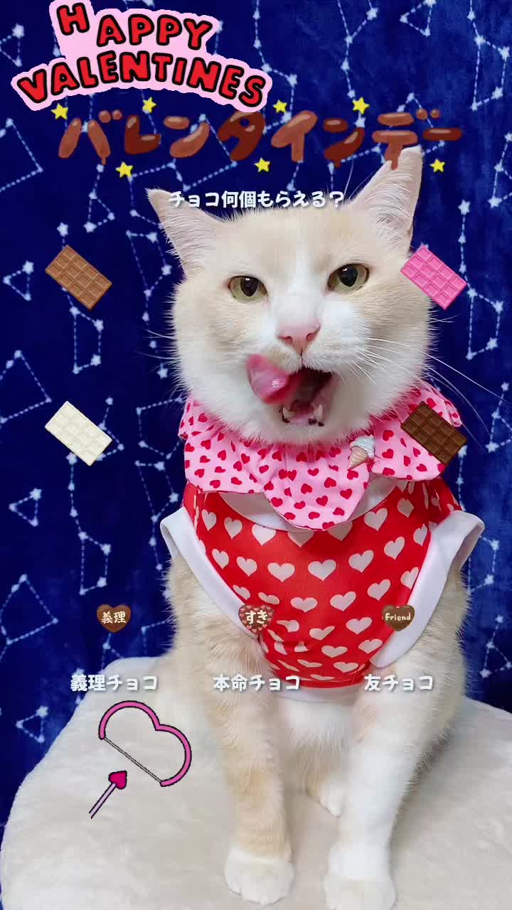 @オッドマリー