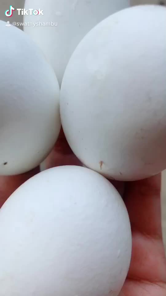 @SwathyShambu