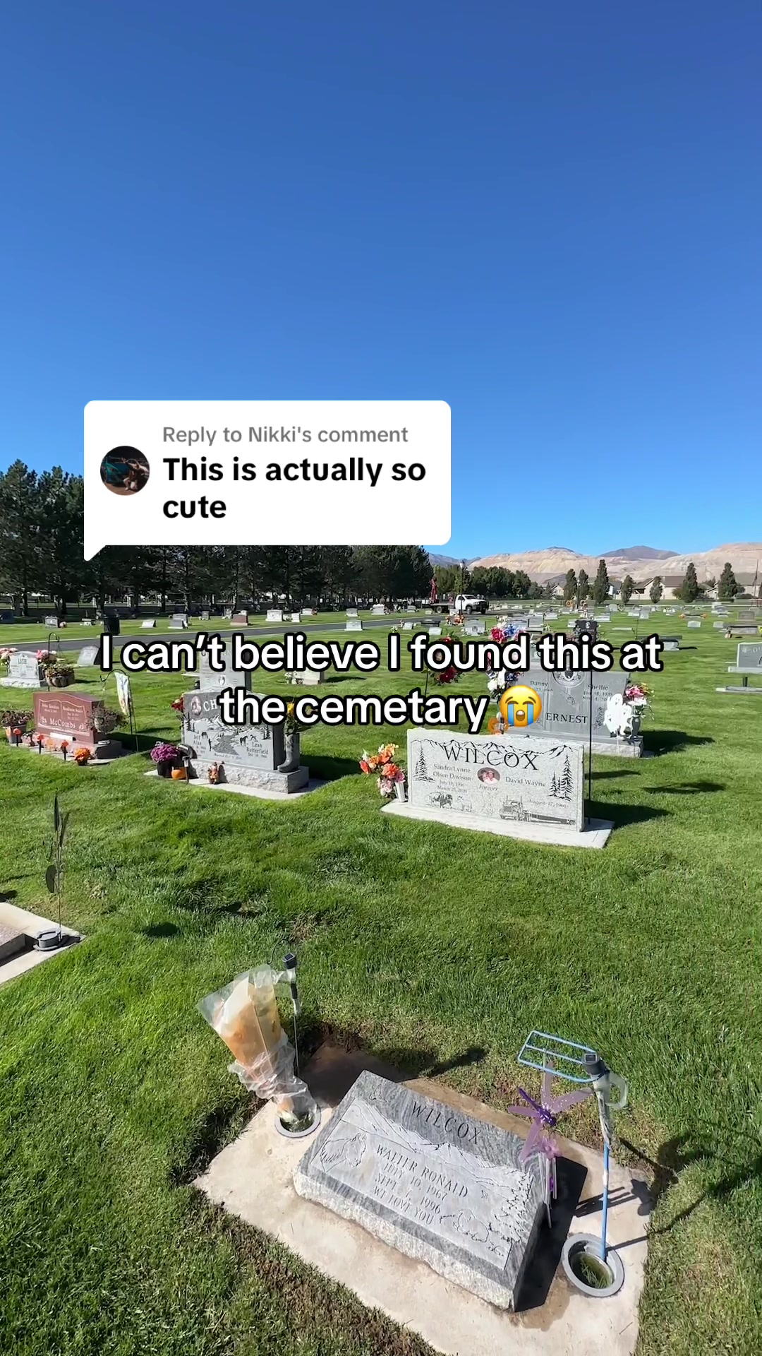 @Turning Hearts
