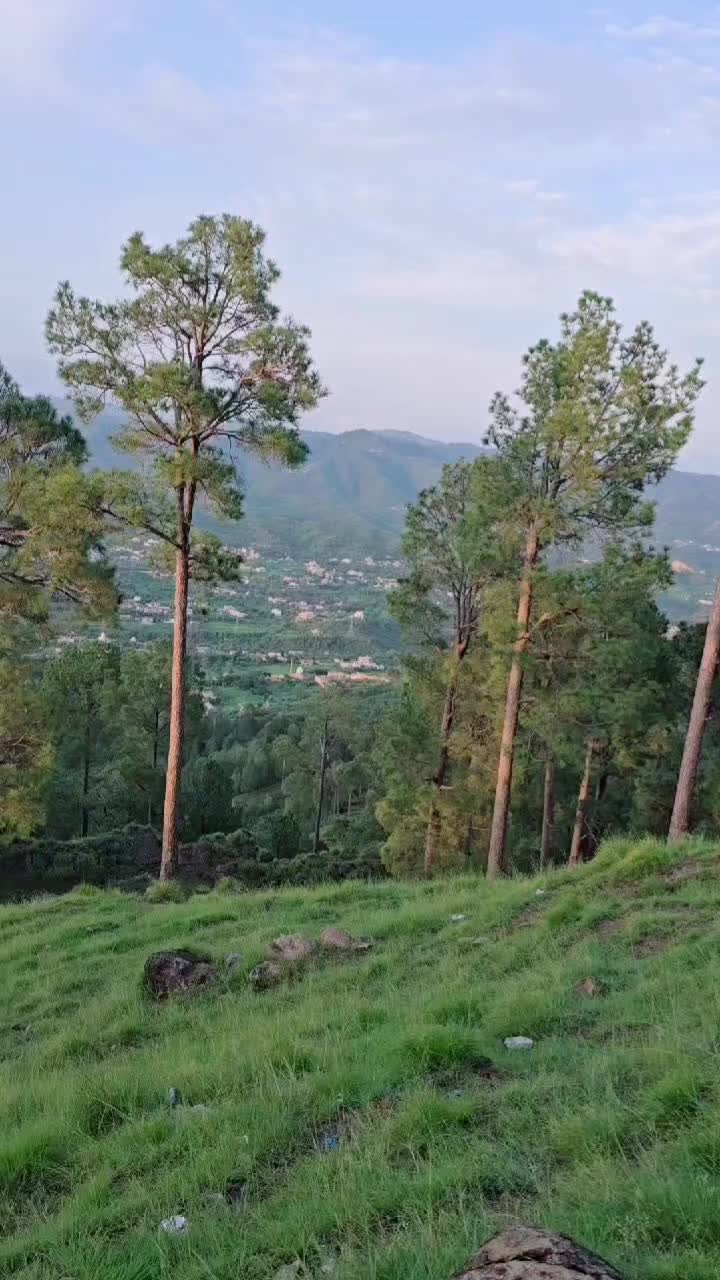 @Hafeez SeHaR Kashmiri 🍁🫀