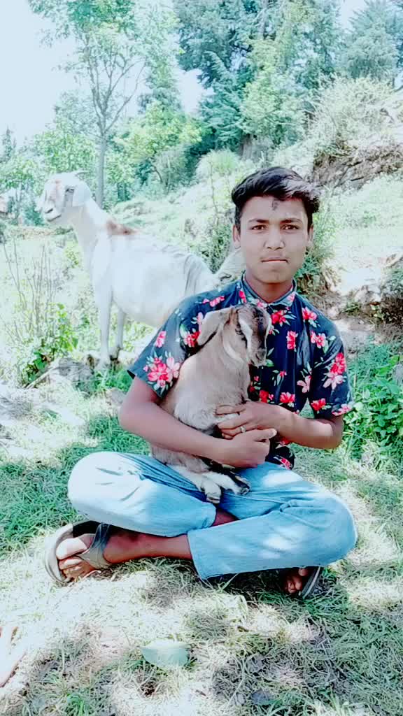 @Tanuj Tanuj