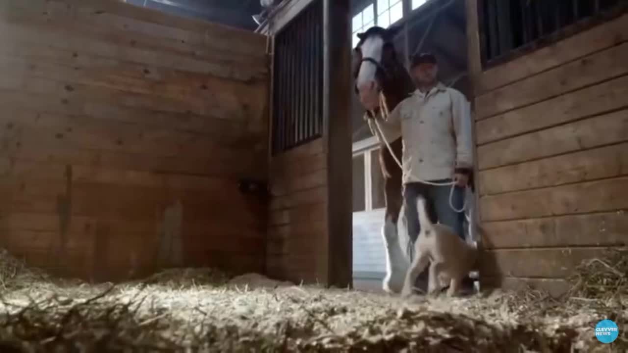 @🏇🏻 нorѕe rιdιng 🏇🏻