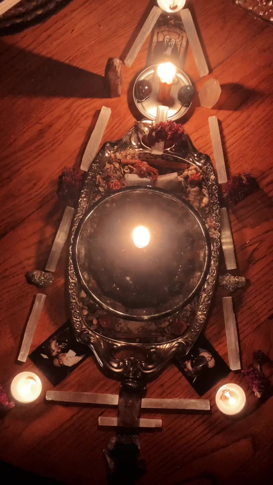 @🌙🕷🍄🐌🕸🦋