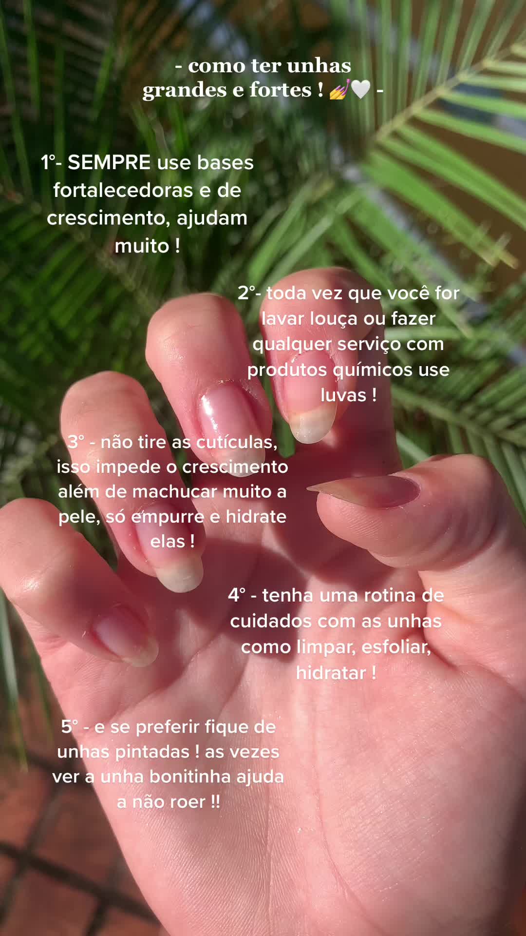 @luu ❀