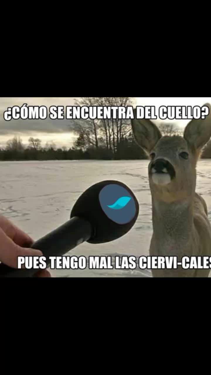 @Cl&iacute;nica Fisiohealth