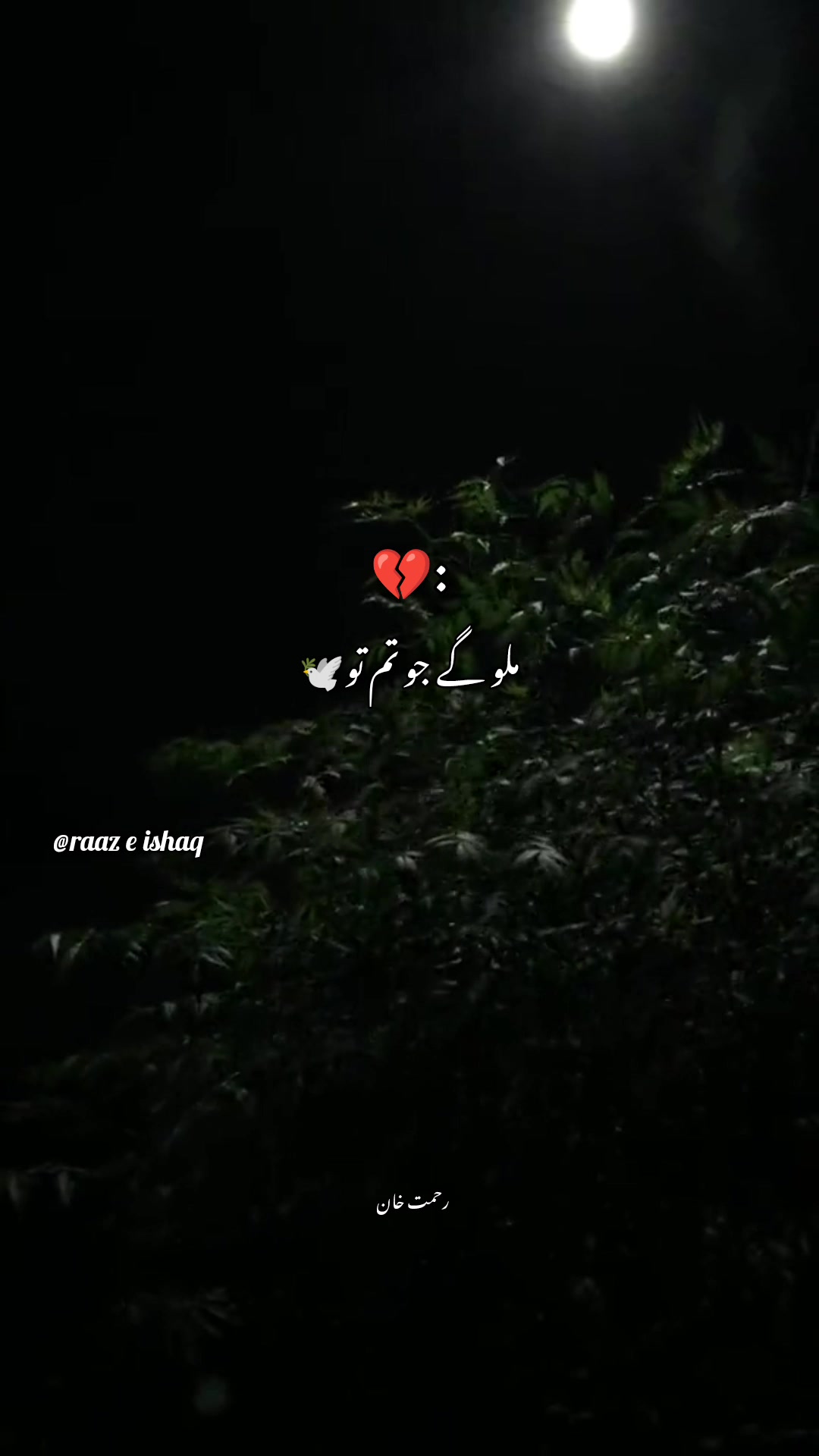@Deep Lines