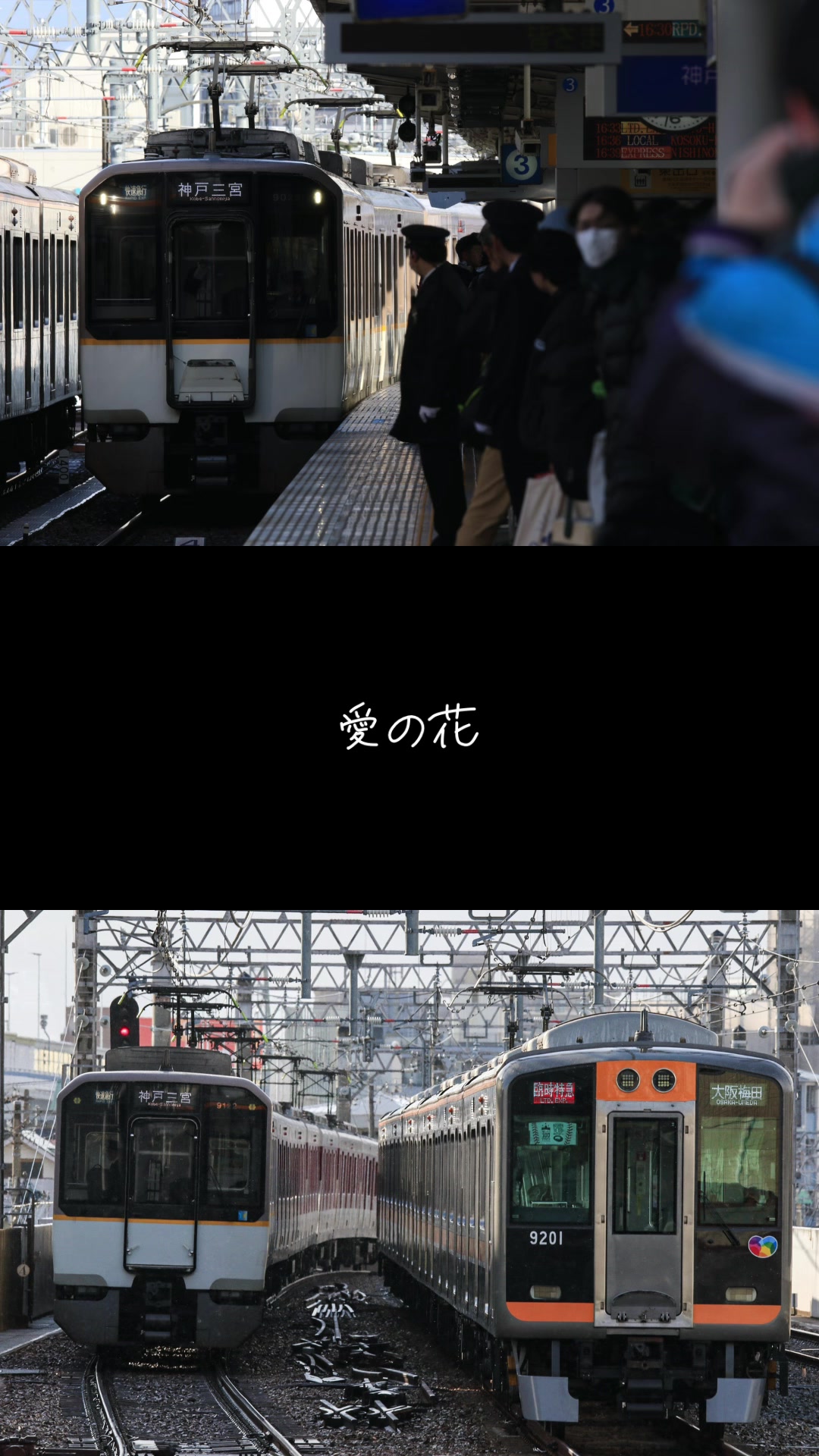 @fjms2915